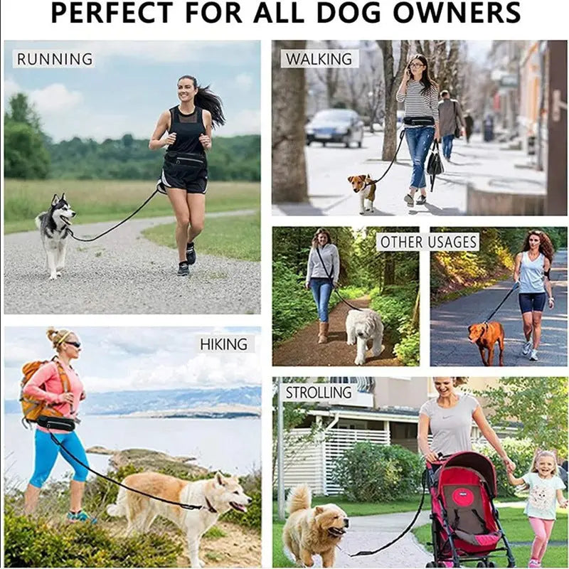 Hands Free Dog Leash Pet Walking And Training Belt With Shock Absorbing Bungee Leash For Up To 180lbs Large Dogs Phone Pocket And Water Bottle Holder mzon store
