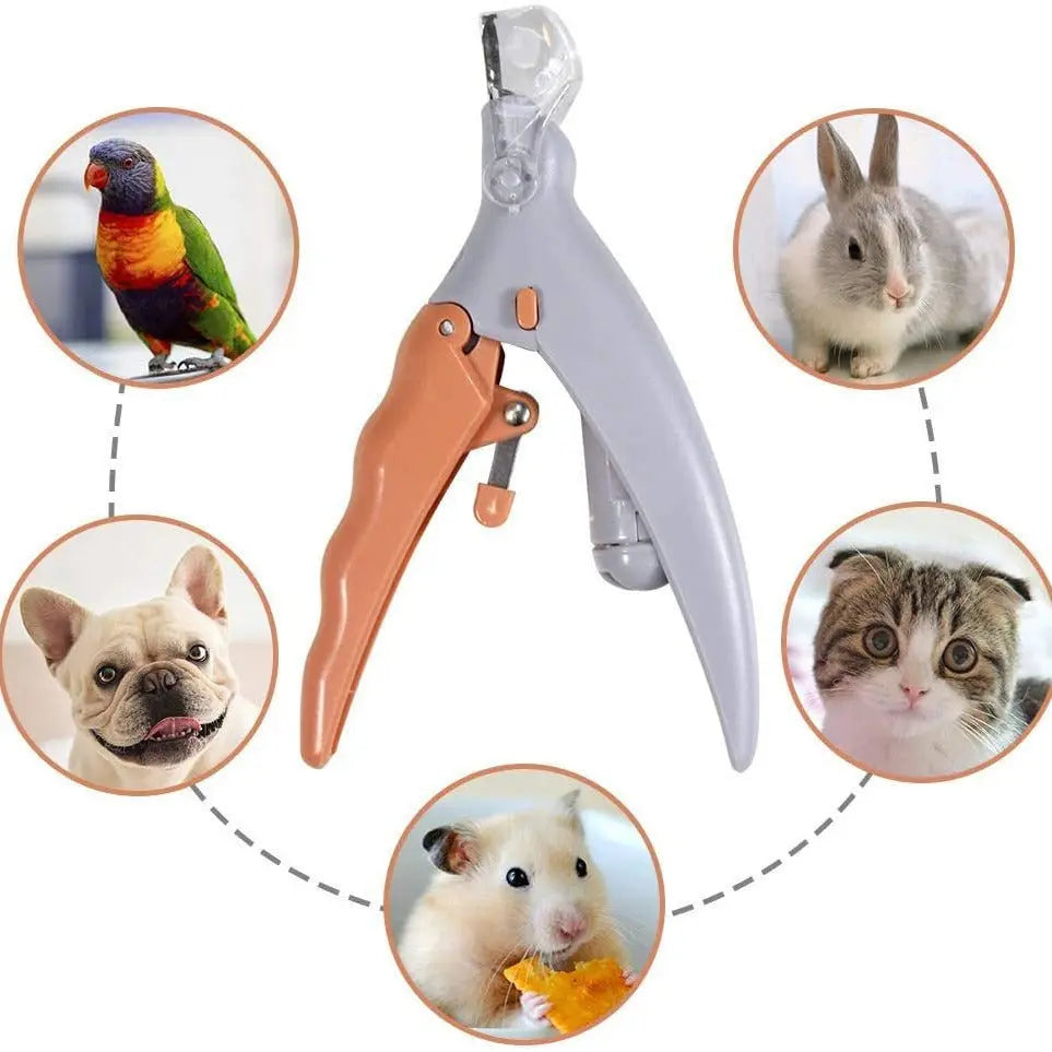 LED Pet Nail Clipper for Dogs & Cats — Safe Trimming Stone's Store