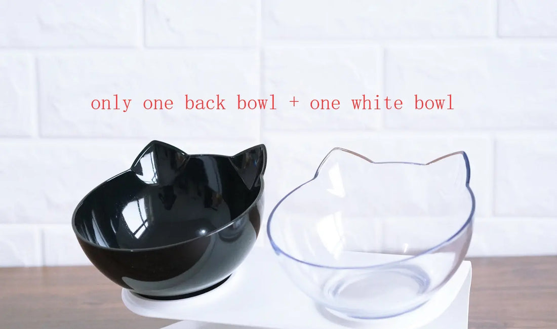 Transparent Single Pet Bowl null