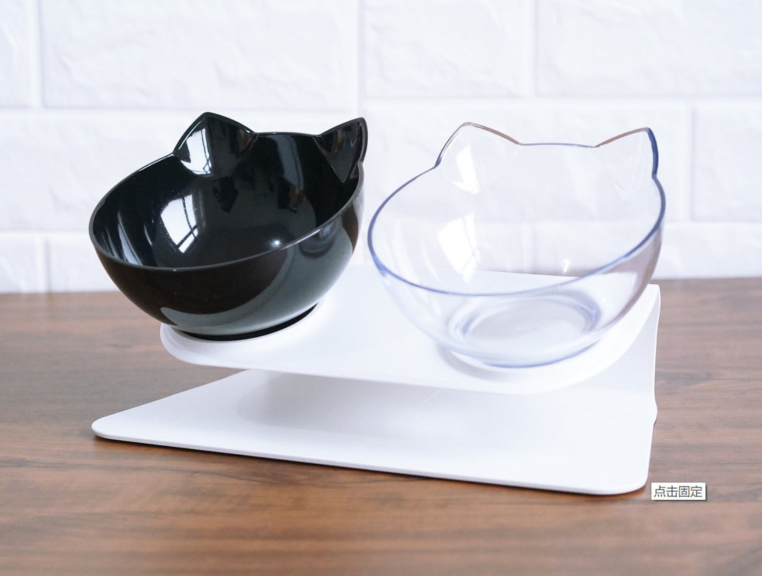 Inclined Cat Bowl – Ergonomic Oblique Mouth Pet Food Dish, Transparent & Anti-Spill