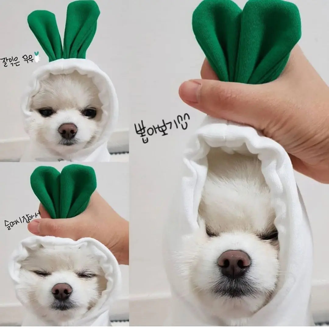 Cute Fruit Dog Hoodie – Warm Fleece Pet Clothes for Small Dogs, Puppies & Cats mzon store
