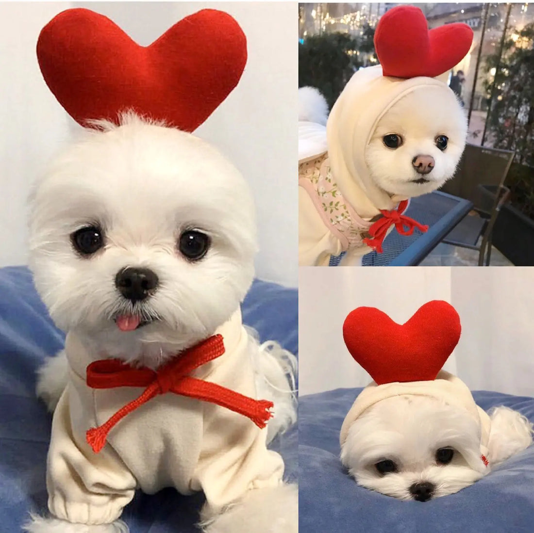 Cute Fruit Dog Hoodie – Warm Fleece Pet Clothes for Small Dogs, Puppies & Cats mzon store