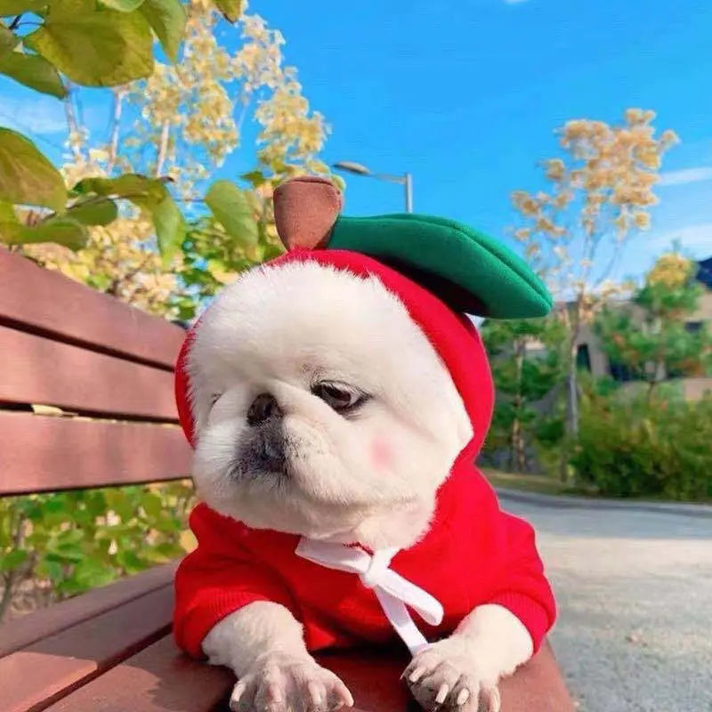Cute Fruit Dog Hoodie – Warm Fleece Pet Clothes for Small Dogs, Puppies & Cats mzon store
