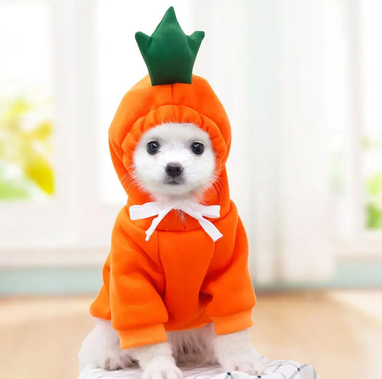 Cute Fruit Dog Hoodie – Warm Fleece Pet Clothes for Small Dogs, Puppies & Cats mzon store
