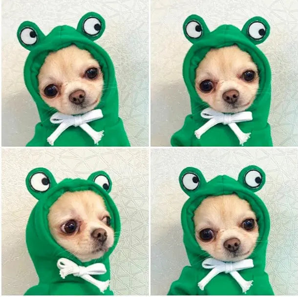 Cute Fruit Dog Hoodie – Warm Fleece Pet Clothes for Small Dogs, Puppies & Cats mzon store