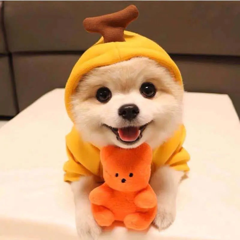 Cute Fruit Dog Hoodie – Warm Fleece Pet Clothes for Small Dogs, Puppies & Cats mzon store