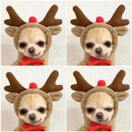 Cute Fruit Dog Hoodie – Warm Fleece Pet Clothes for Small Dogs, Puppies & Cats mzon store