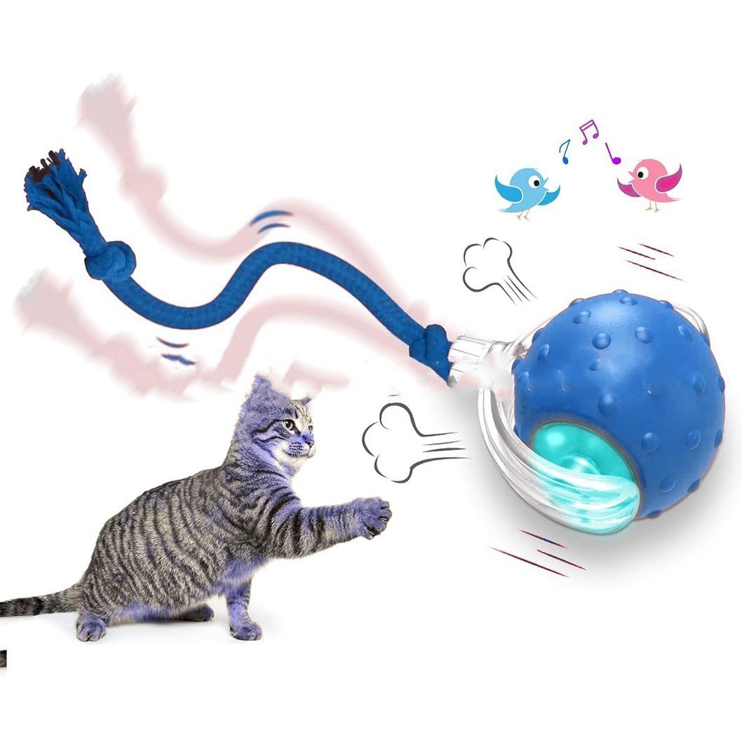 Interactive Cat Toy Ball – Auto Rolling, Motion-Activated & Chirping Cat Teaser for High-Energy Cats