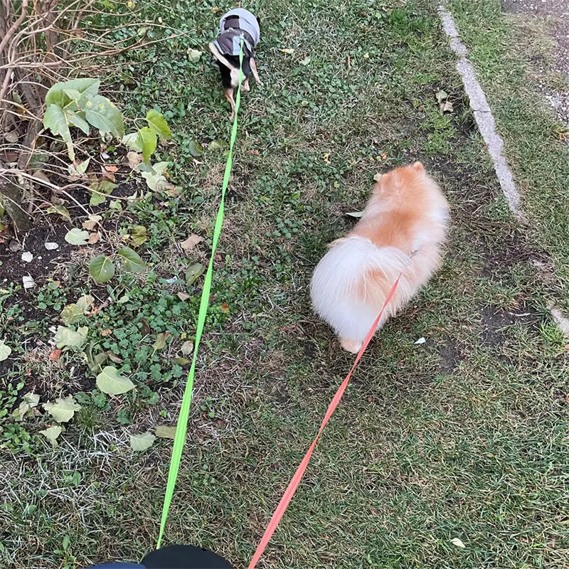 Retractable Dog Leash for Small Dogs – Dual 360° Swivel Leash with Reflective Strip, Flashlight & Poop Bag Holder mzon store