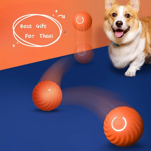 Pet Dog Rubber Ball Toy – Chew-Resistant Interactive Puppy Training Ball for Dogs