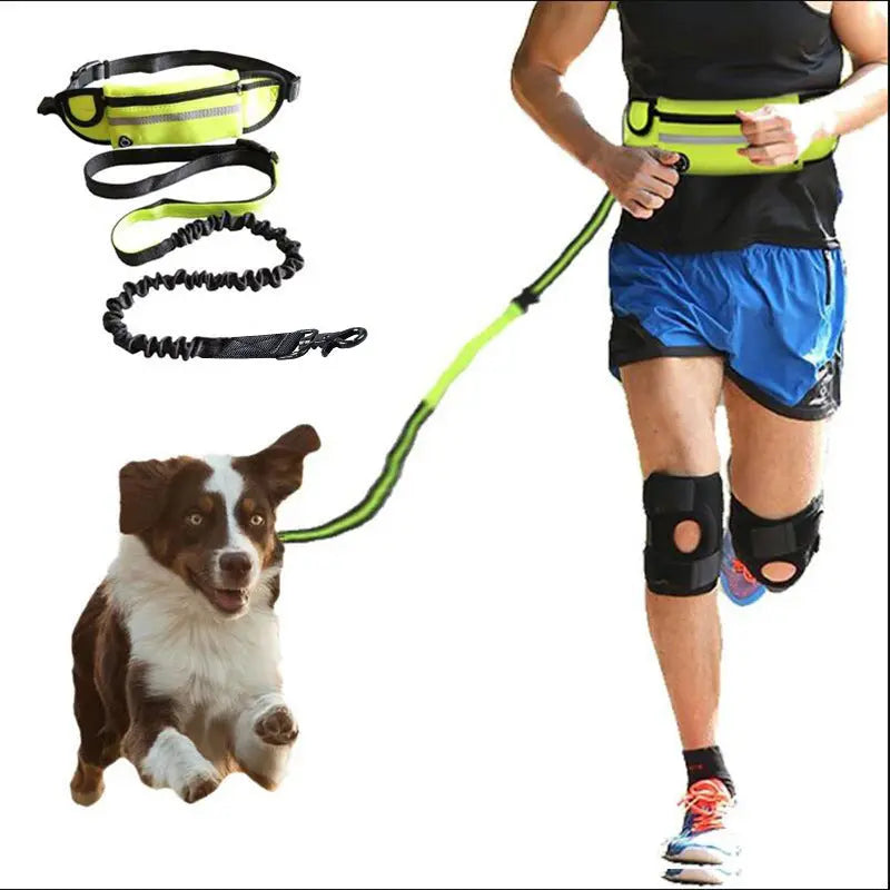 Hands Free Dog Leash Pet Walking And Training Belt With Shock Absorbing Bungee Leash For Up To 180lbs Large Dogs Phone Pocket And Water Bottle Holder mzon store