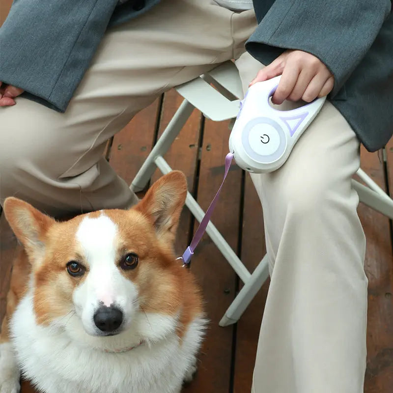 Retractable Dog Leash with One-Button Brake – 3m & 5m Automatic Extendable Pet Traction Rope with Optional Collar mzon store
