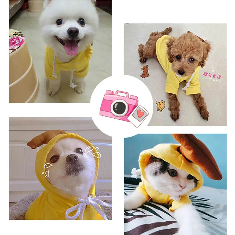 Cute Fruit Dog Hoodie – Warm Fleece Pet Clothes for Small Dogs, Puppies & Cats mzon store