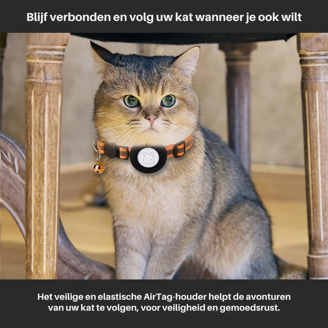 Reflective GPS Cat Collar