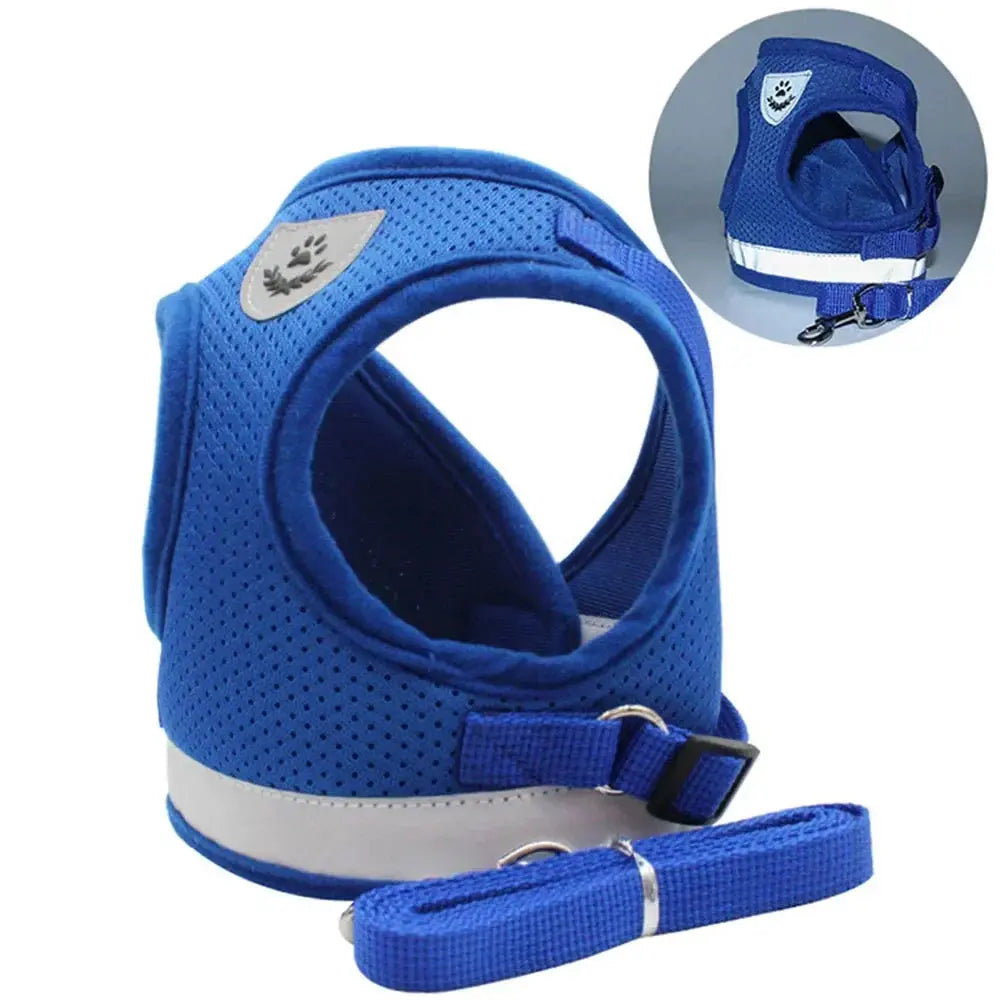 Reflective Cat Harness and Leash for Every Adventure Stone's Store