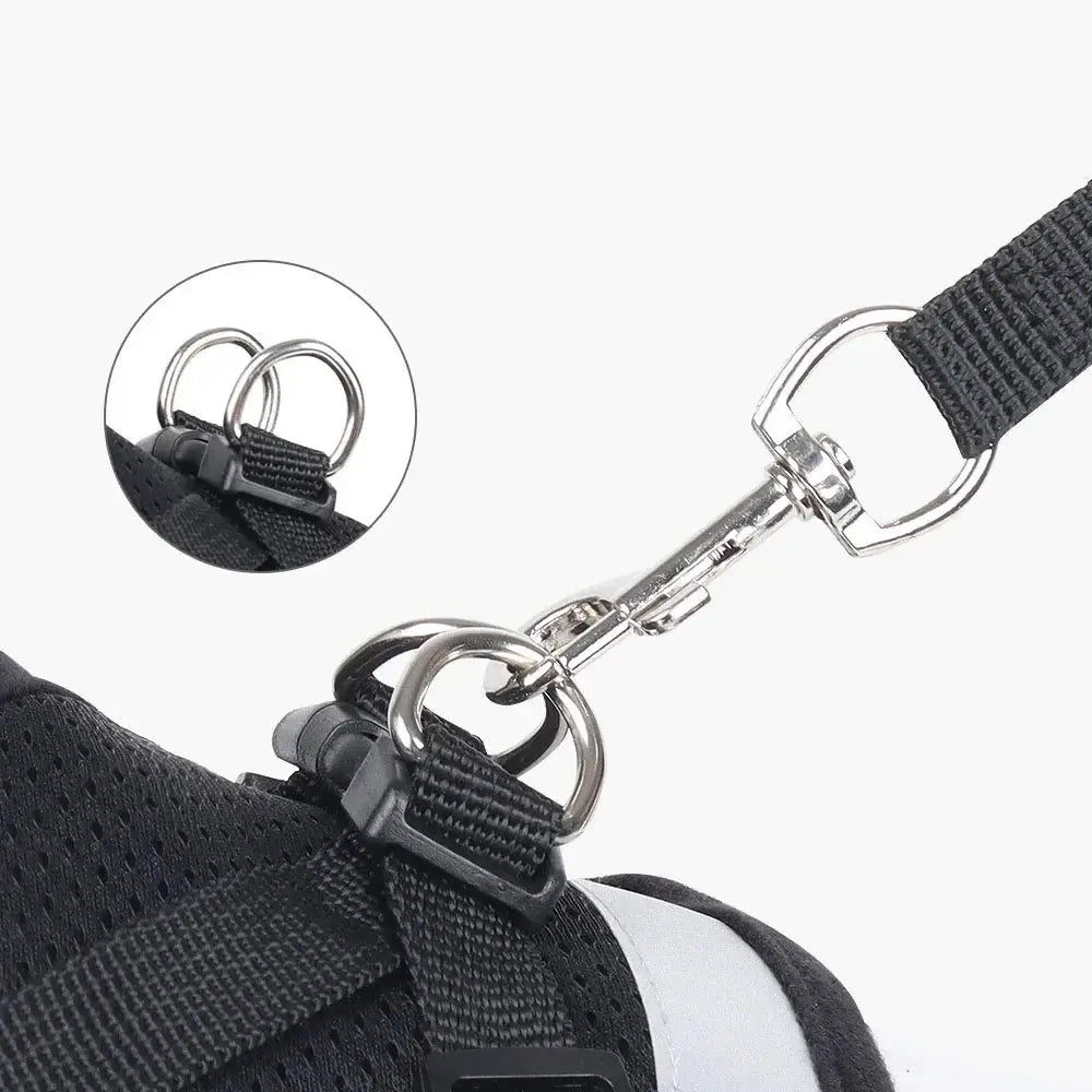 Reflective Cat Harness and Leash for Every Adventure Stone's Store