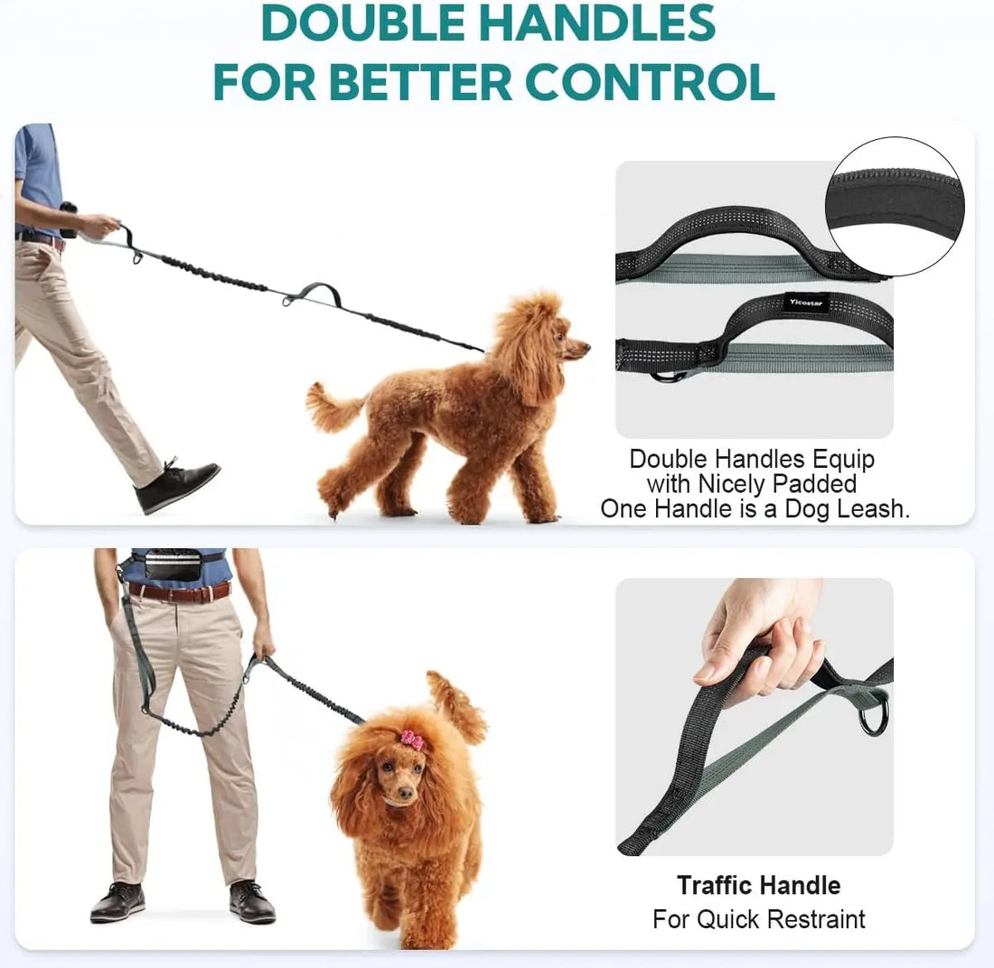 Walk Free: Hands-Free Dog Leash with Zipper Pouch