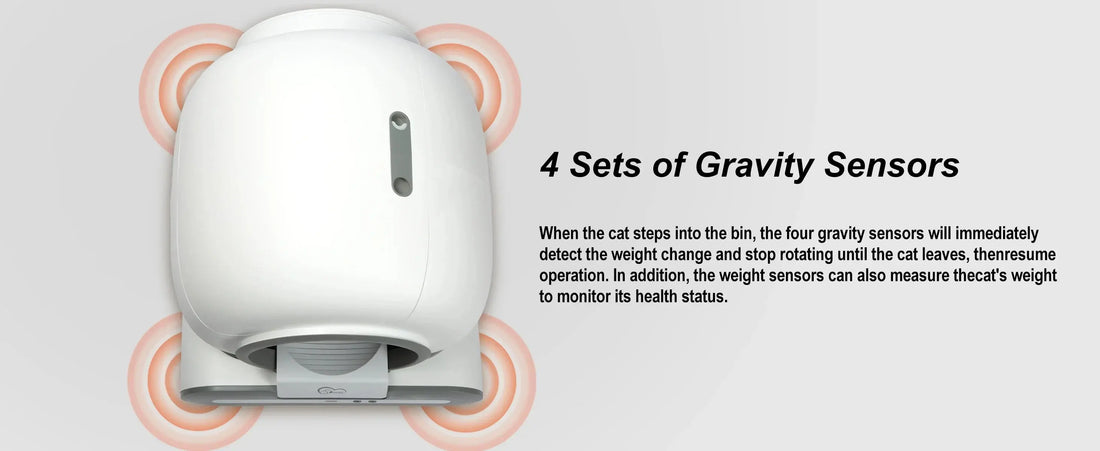 DOEL 65L Self-Cleaning Cat Litter Box with App TOPSNS Store
