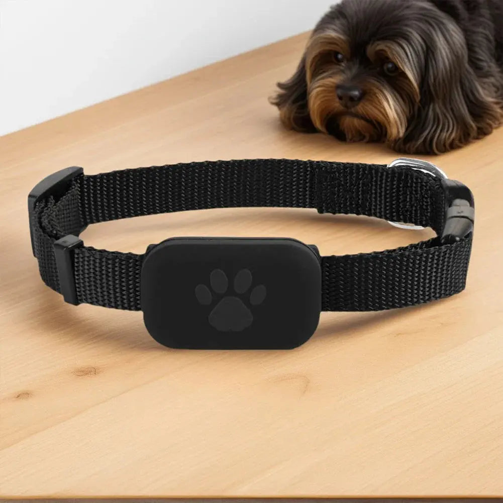 Smart Pet GPS Locator with Adjustable Collar Funtastic Hito Shop Store