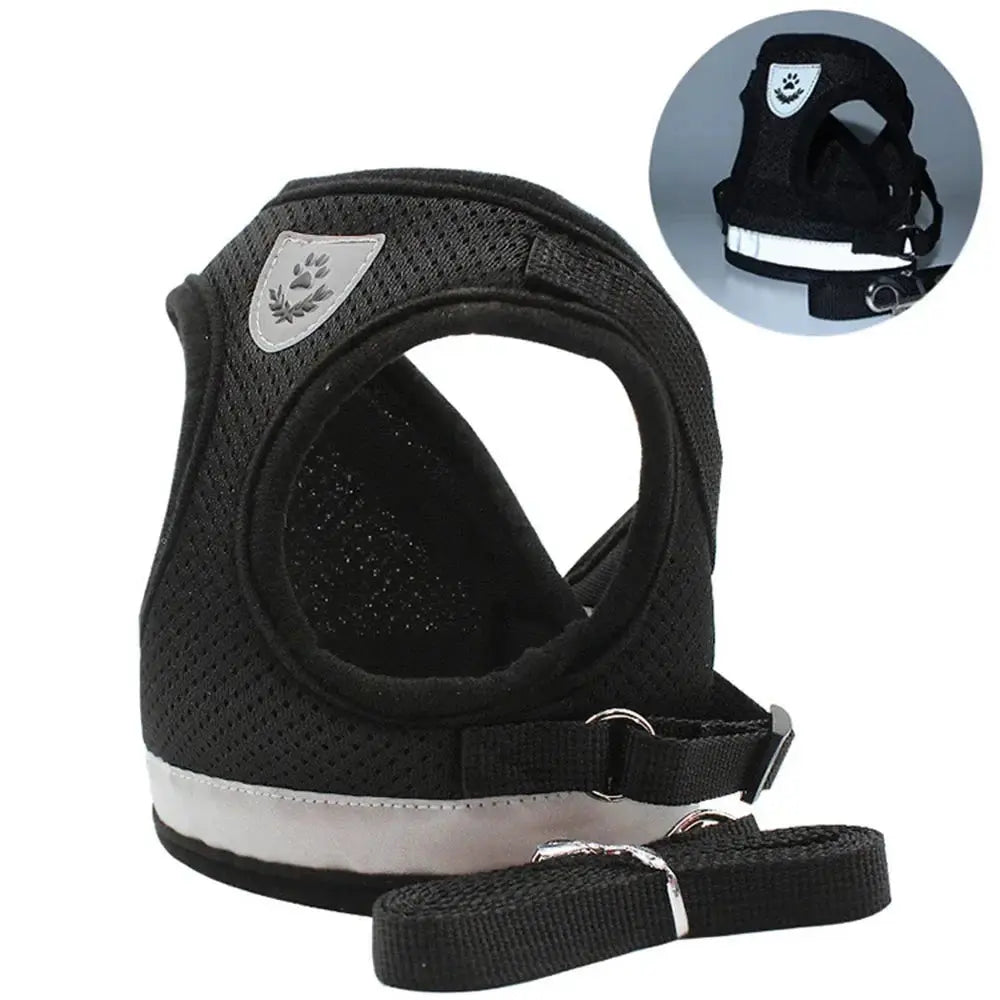 Reflective Cat Harness and Leash for Every Adventure Stone's Store