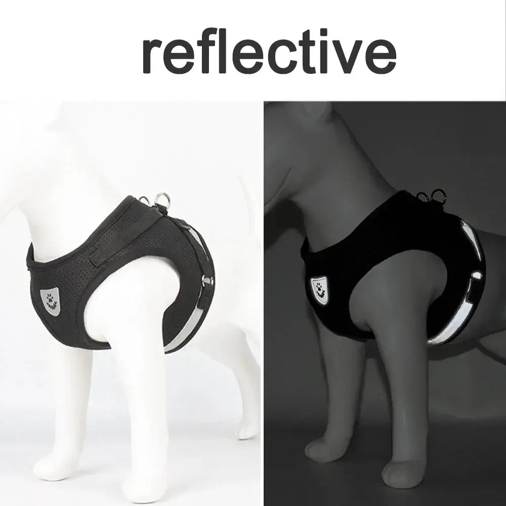Reflective Cat Harness and Leash for Every Adventure Stone's Store