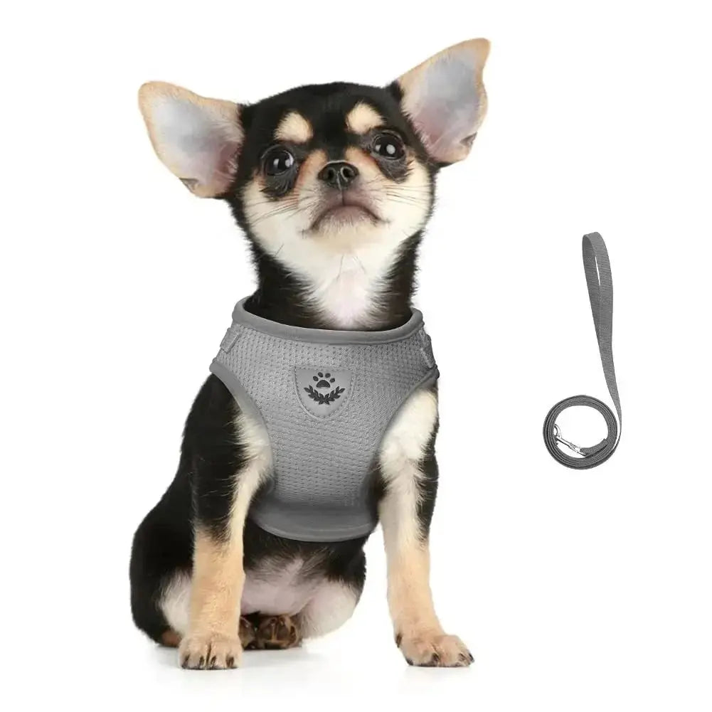 Reflective Cat Harness and Leash for Every Adventure Stone's Store
