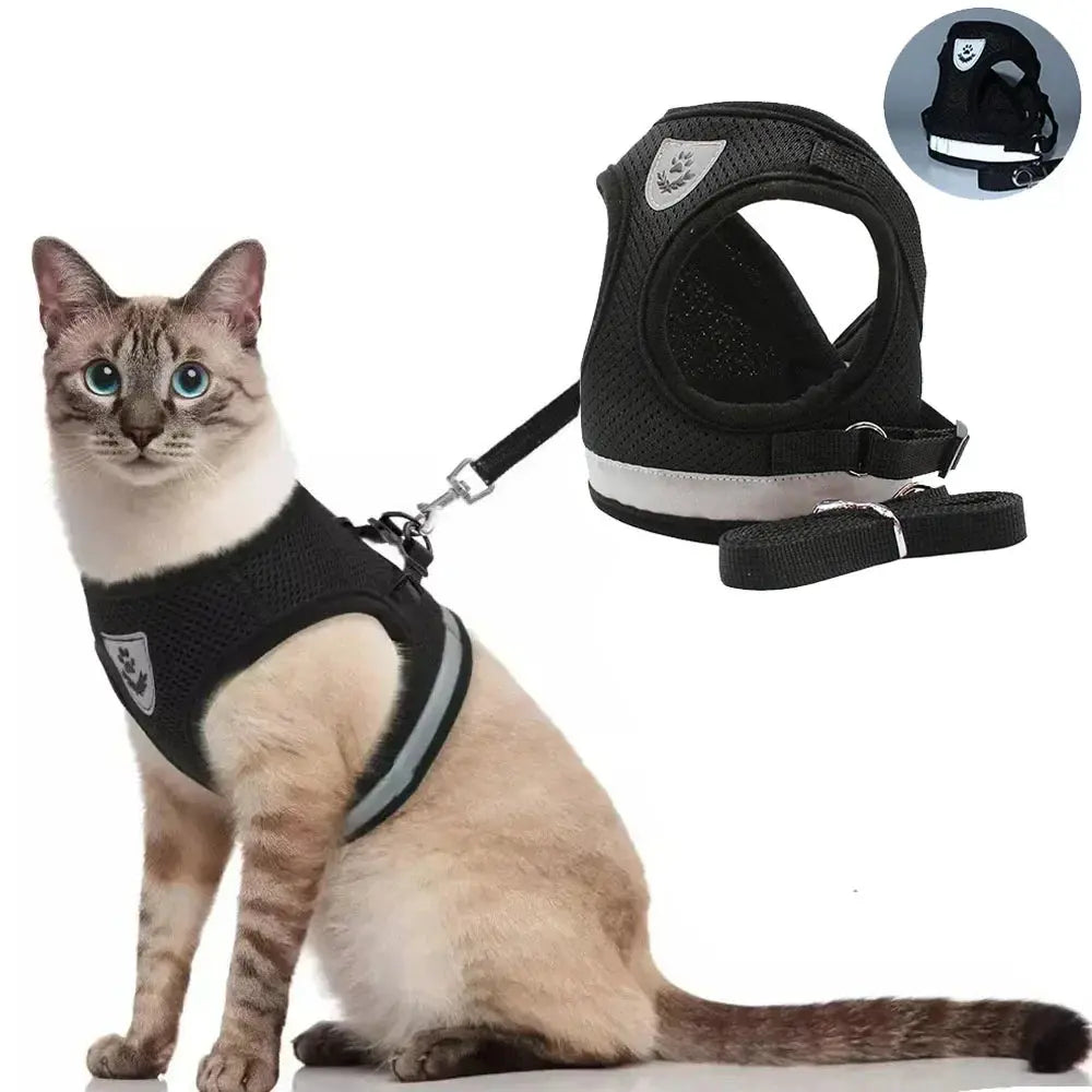 Reflective Cat Harness and Leash for Every Adventure Stone's Store