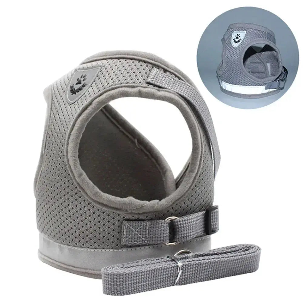 Reflective Cat Harness and Leash for Every Adventure Stone's Store