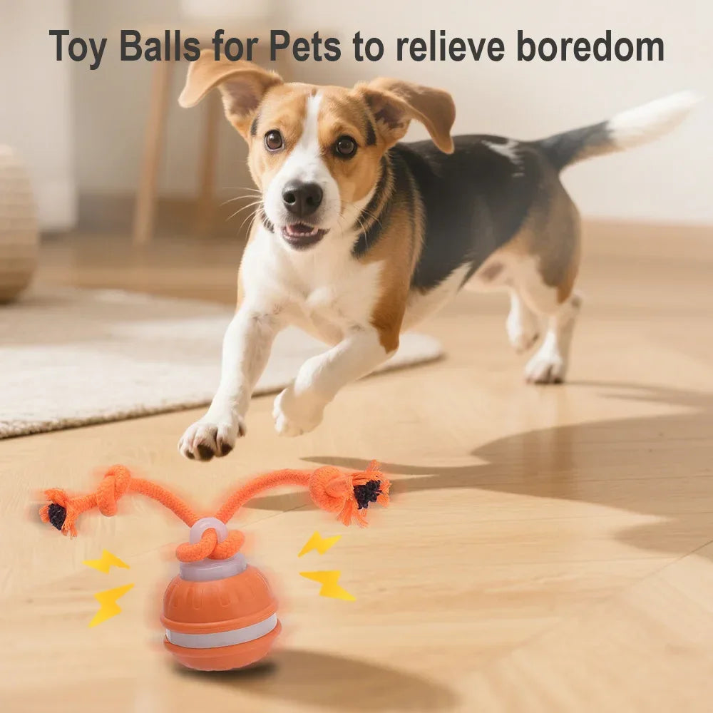 RolliPlay™ Smart Pet Ball 🐾⚡ Endless Chase Fun