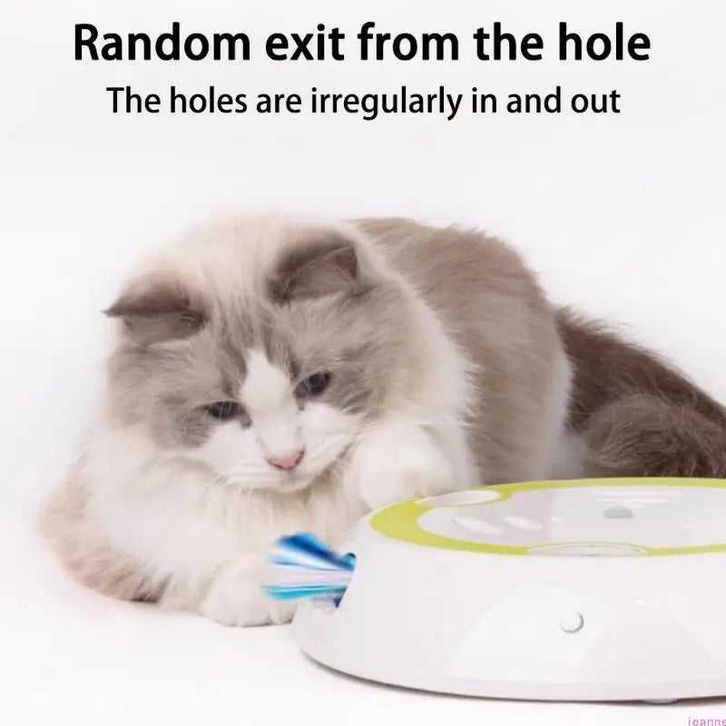 WhiskerWhirl™ – Automatic Cat Teaser & Stress Reliever