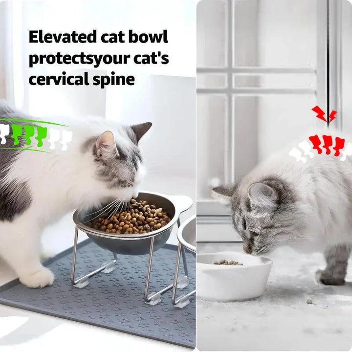15° Elevated Stainless Steel Raised Cat Bowl Shop1105135890 Store