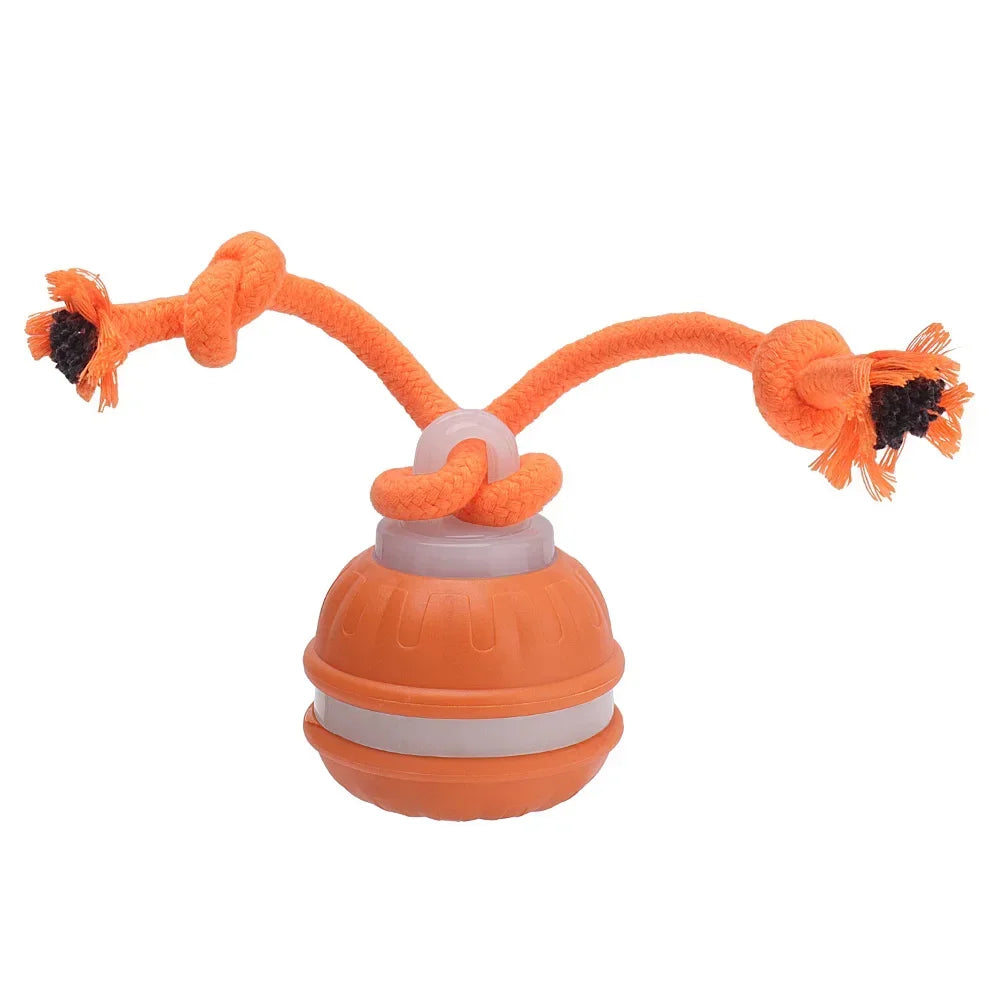 RolliPlay™ Smart Pet Ball 🐾⚡ Endless Chase Fun