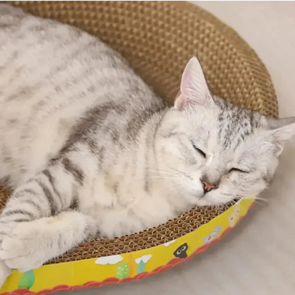 Oval Cat Scratching Board with Catnip - Corrugated Cardboard Scratcher & Bed Stone's Store