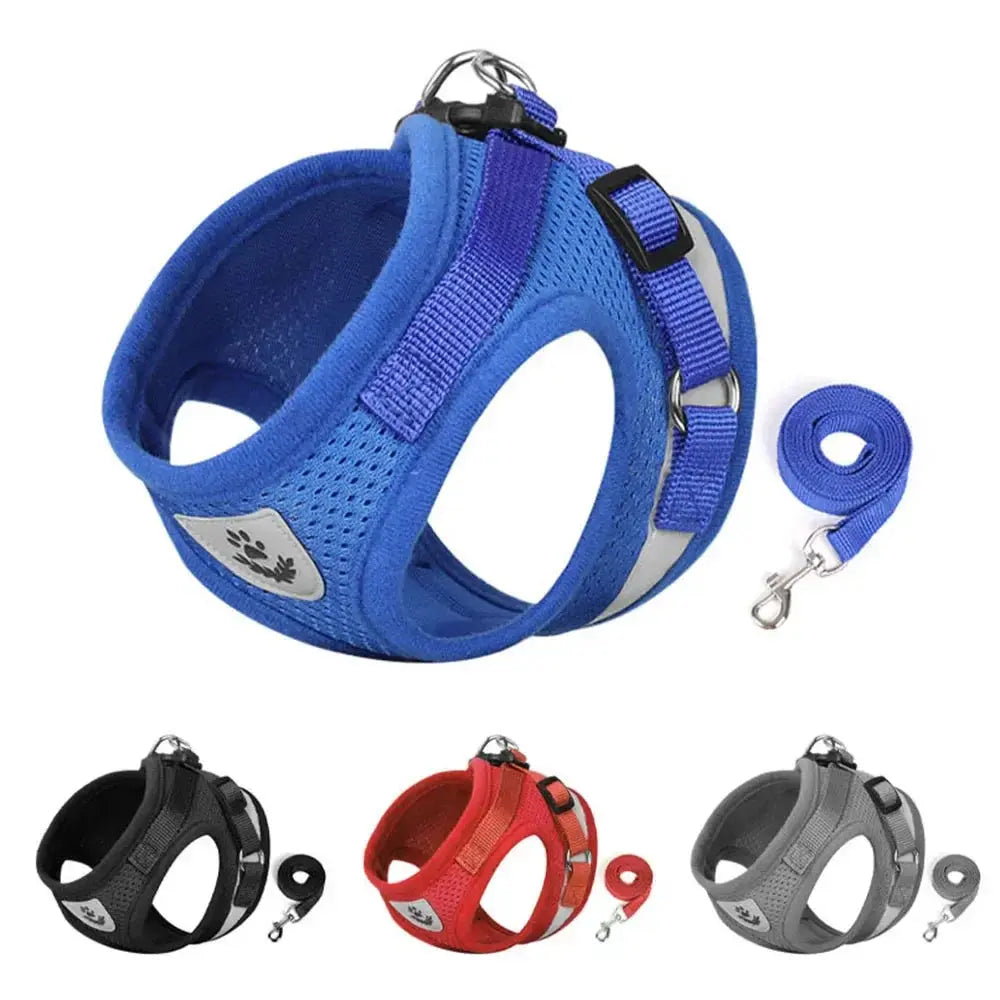 Reflective Cat Harness and Leash for Every Adventure Stone's Store