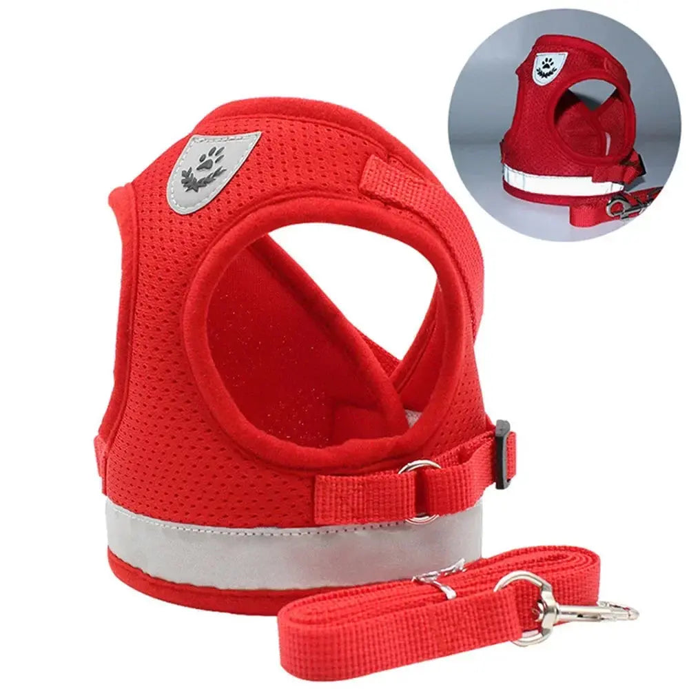 Reflective Cat Harness and Leash for Every Adventure Stone's Store