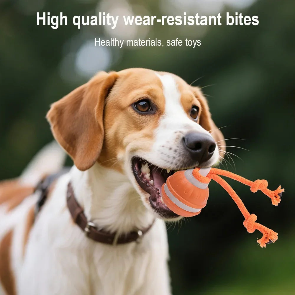 RolliPlay™ Smart Pet Ball 🐾⚡ Endless Chase Fun