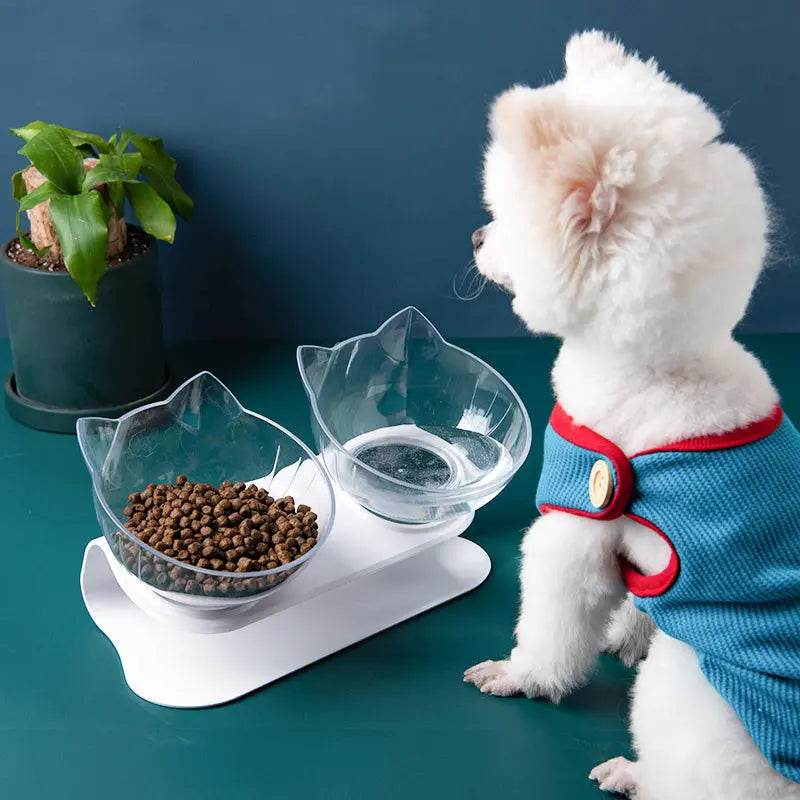 Transparent Single Pet Bowl null