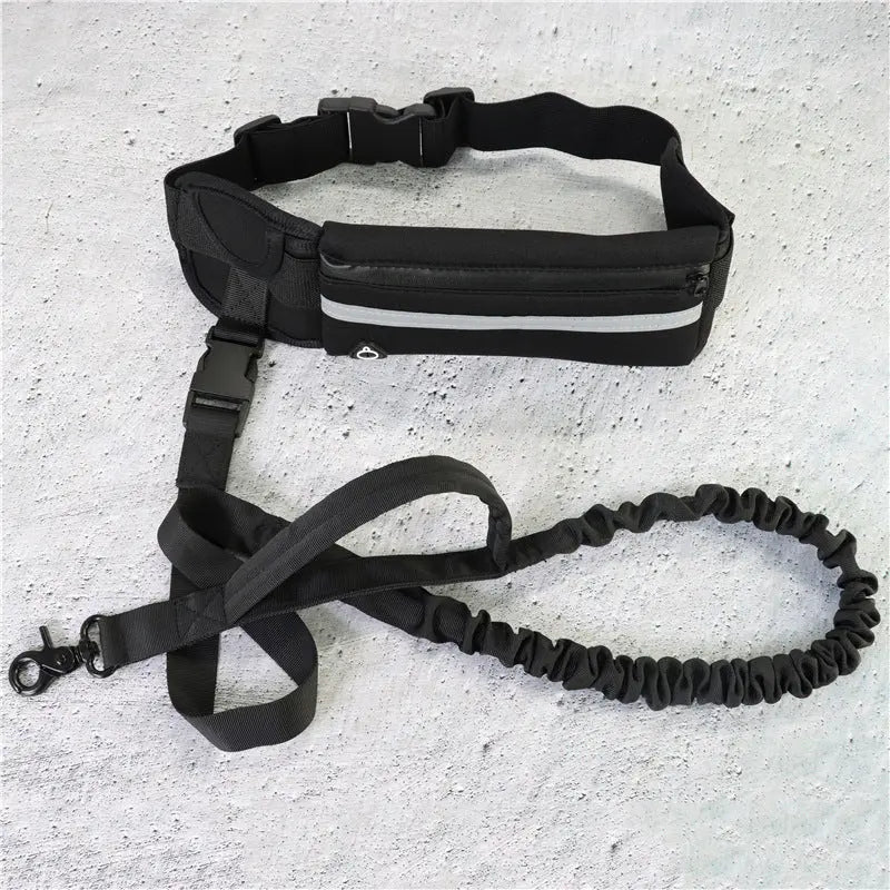 Hands Free Dog Leash Pet Walking And Training Belt With Shock Absorbing Bungee Leash For Up To 180lbs Large Dogs Phone Pocket And Water Bottle Holder mzon store