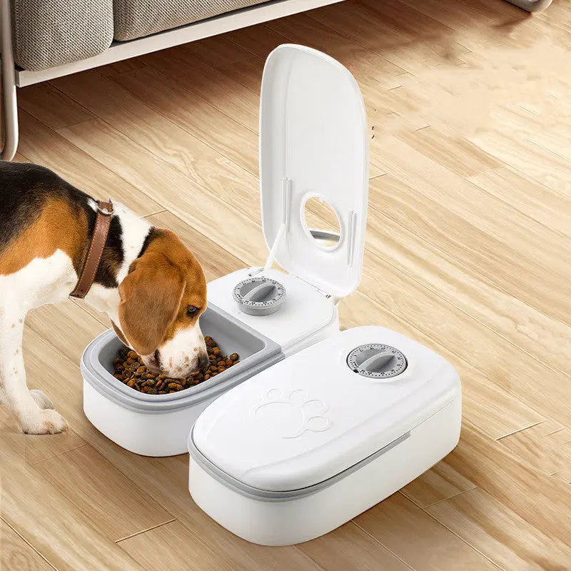 Automatic Pet Feeder Smart Food Dispenser For Cats Dogs Timer Stainless Steel Bowl Auto Dog Cat Pet Feeding Pets Supplies mzon store